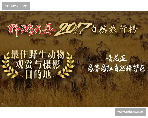 探索《花亦山心之月》角色魅力与力量的深度剖析与心灵碰撞 探索《花亦山心之月》角色魅力与力量的深度剖析与心灵碰撞