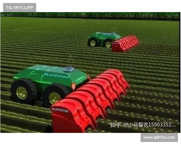 全面解析东超含义及其在不同领域的应用与影响