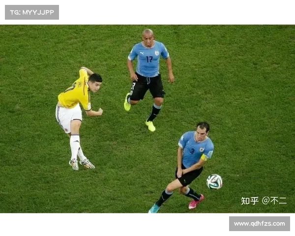 奥林匹亚科斯称霸希腊联赛的背后故事与不为人知的成功秘诀